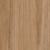 Hickory Nature